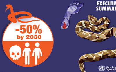 Snakebite: WHO targets 50% reduction in deaths and disabilities