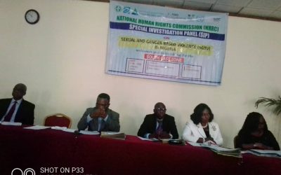 Lift4africa, Csos in the South-East (Owerri) Zonal Special Investigation Panel (Sip) On Sexual and Gender Based Violence