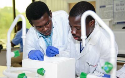 Lassa Fever Outbreak In Nigeria Another Episode Of Austere Carefulness….