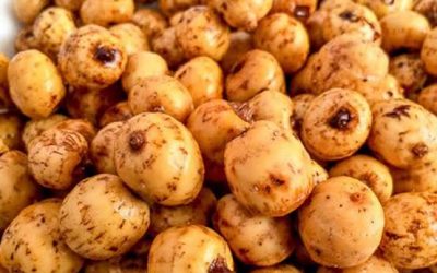 TIGERNUTS (earth almond, tiger nut, chufa, yellow nutsedge and Zulu nuts):